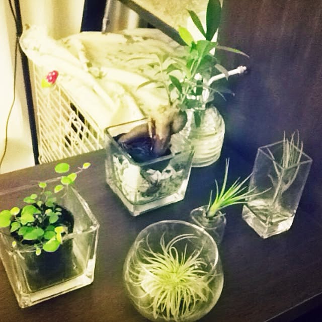 Fumikaさんの実例写真
