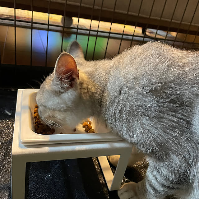 micaさんの実例写真