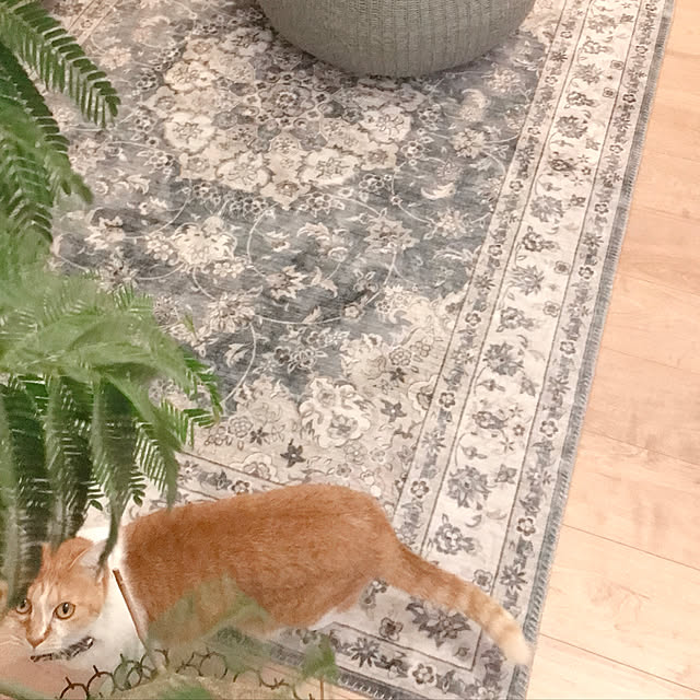 Yさんの実例写真
