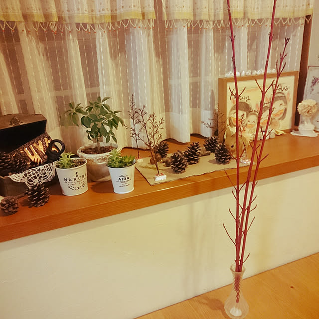 Natuyuさんの実例写真
