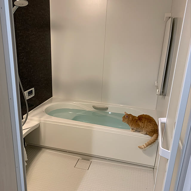 mikeume7さんの実例写真