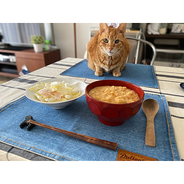 derazouさんの実例写真