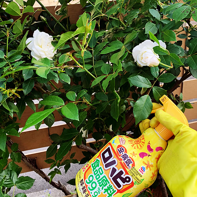 KYONさんの実例写真