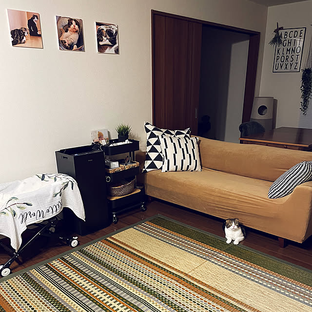 tansukeさんの部屋