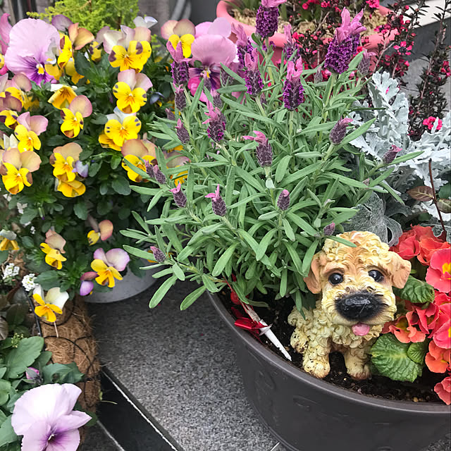 emikoさんの実例写真
