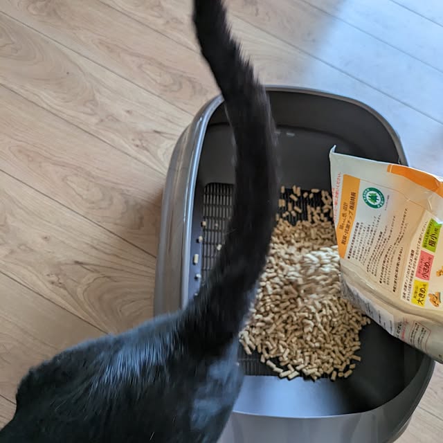 ciiiさんの部屋
