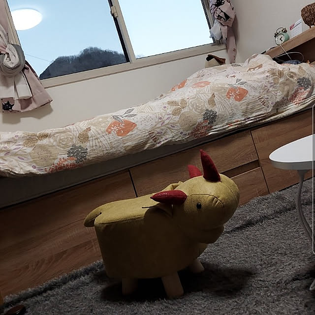 ciiiさんの実例写真