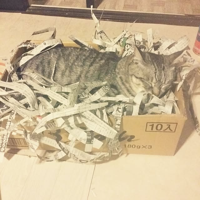 annさんの実例写真