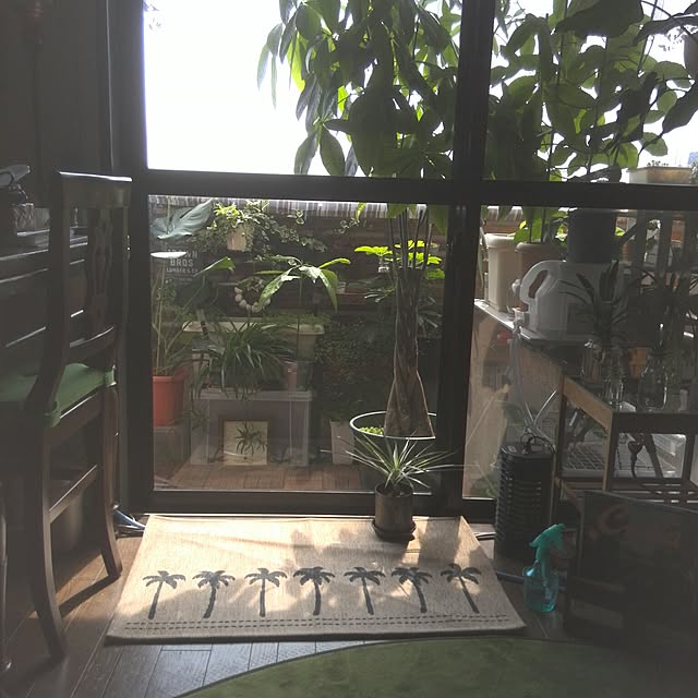 yu.sazanamiさんの実例写真