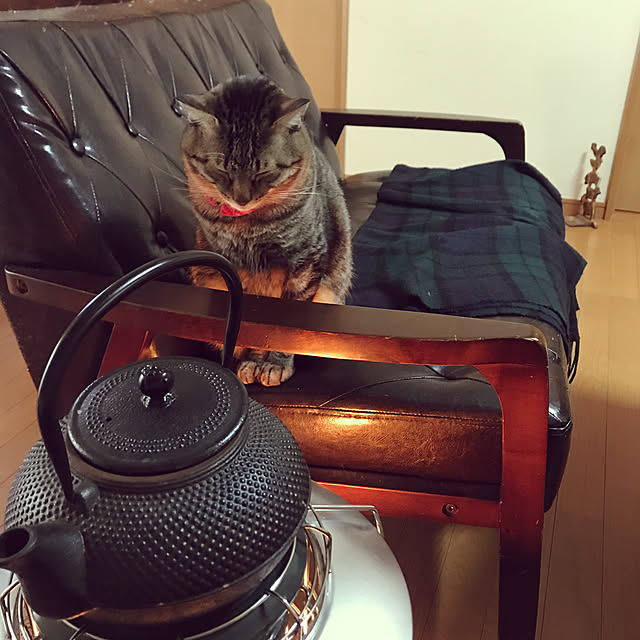 mikan161さんの実例写真