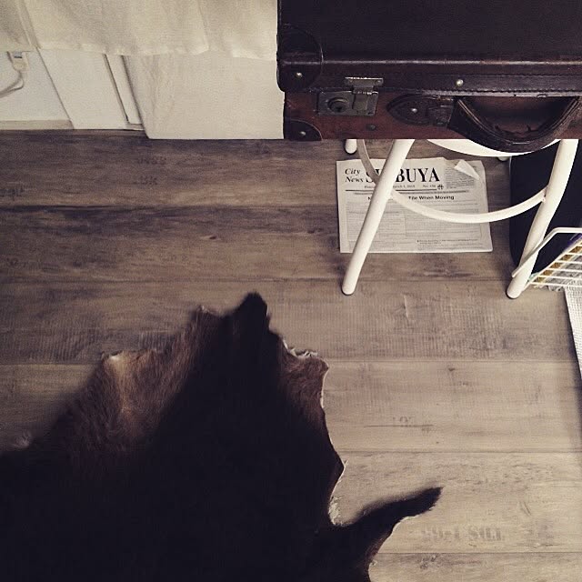 monoさんの実例写真