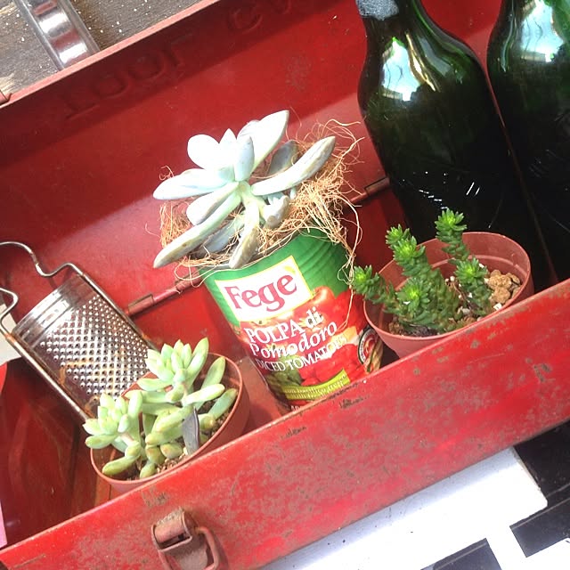 edenさんの実例写真