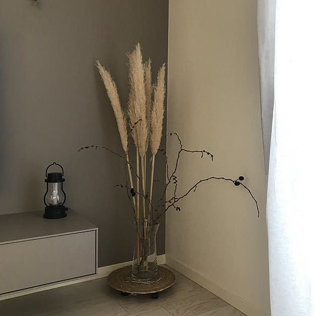argchi05さんの実例写真