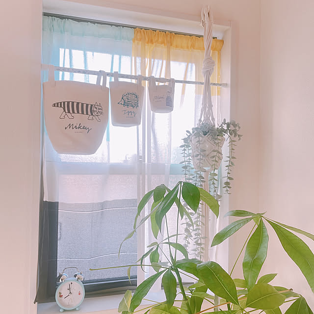 akiko-ovさんの部屋