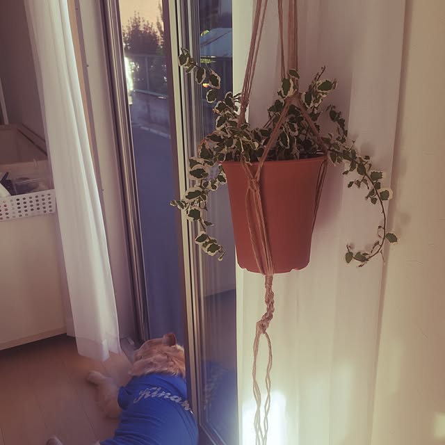 Kazueさんの実例写真
