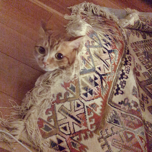 Kobamiさんの実例写真