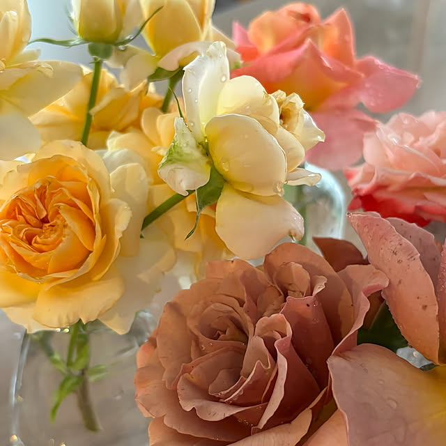 madeleineさんの部屋