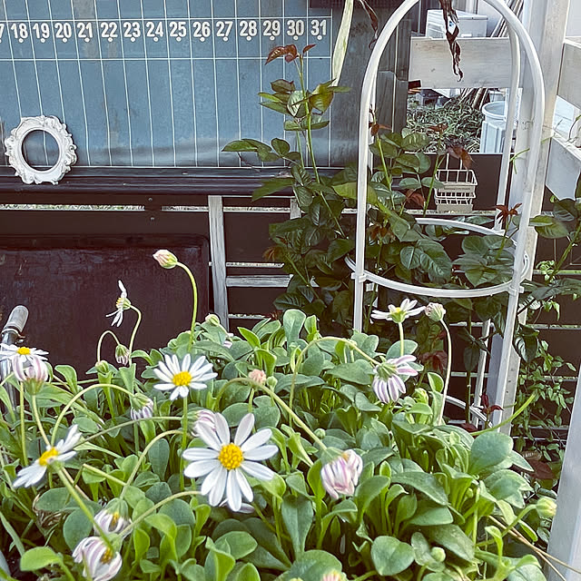 mayumiさんの部屋