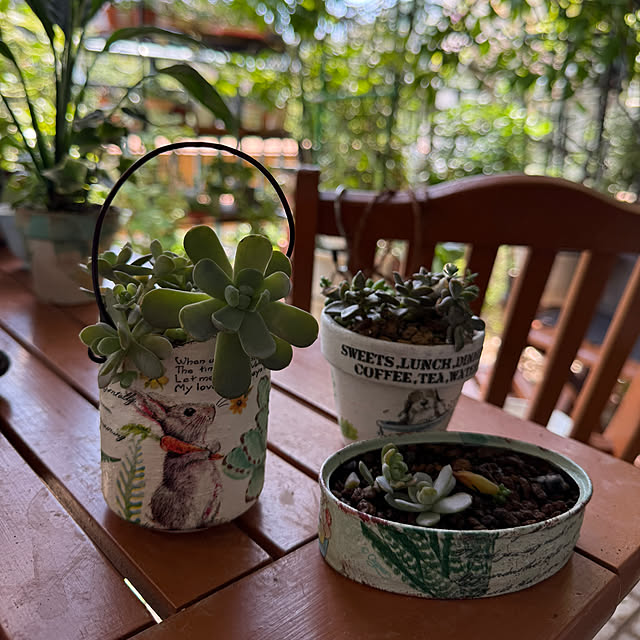 Aqettyさんの部屋