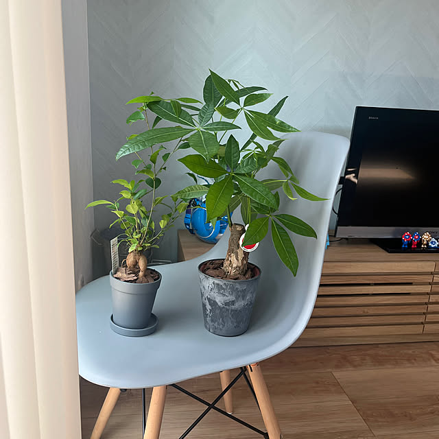 tiroさんの部屋