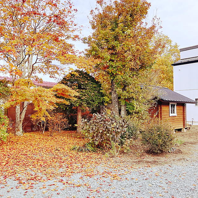 chanduさんの実例写真