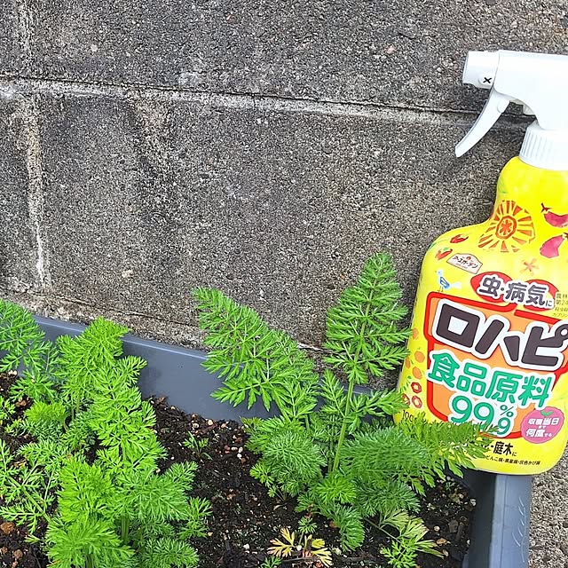 hanapanさんの部屋