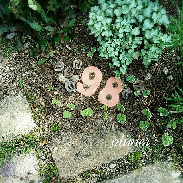 olivierさんの実例写真