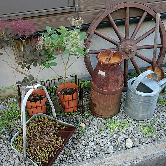 tikuwaさんの実例写真