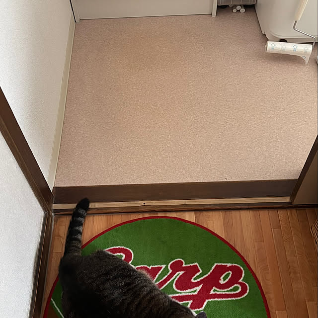nanohanaさんの部屋