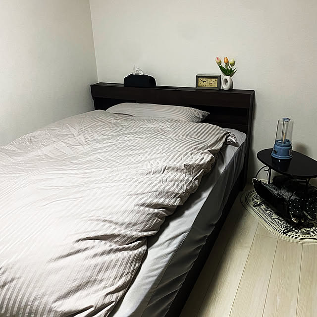 sachaさんの部屋