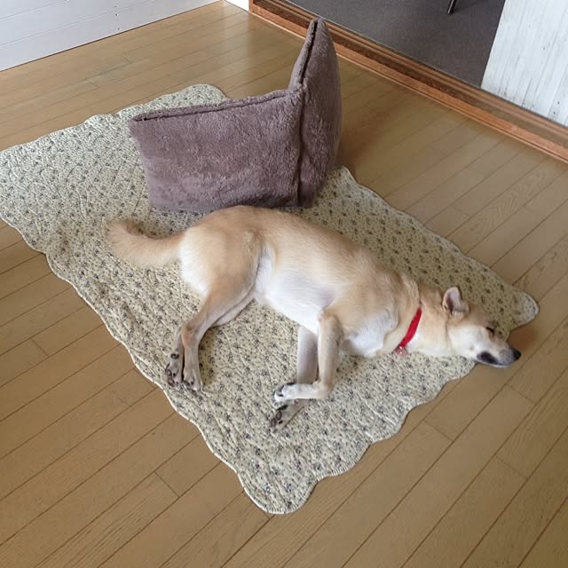 leonaさんの実例写真