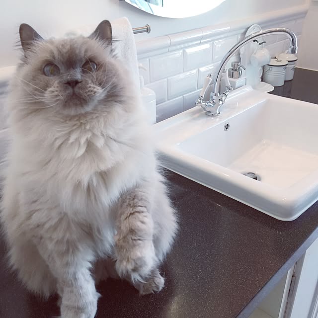 yuchiさんの実例写真