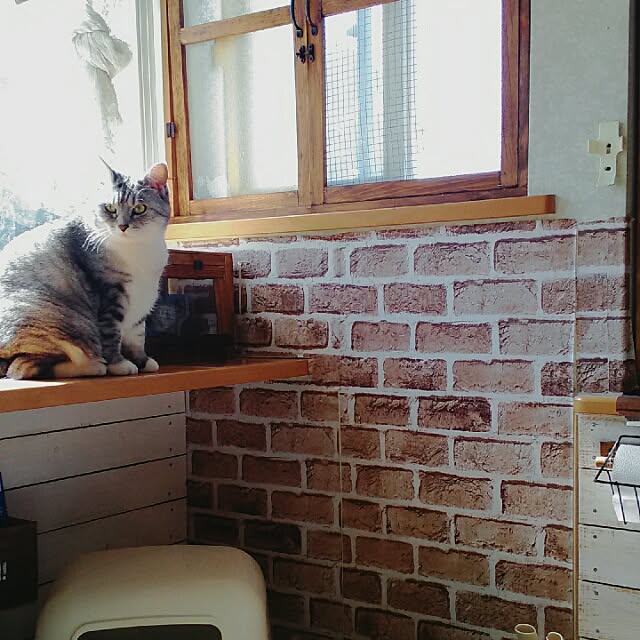 実例写真
