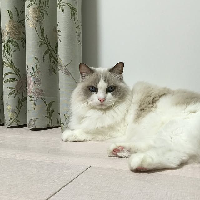 yuchiさんの実例写真