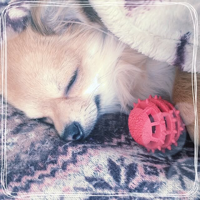yukiさんの実例写真