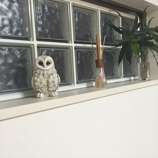 purintoreohainuさんの実例写真