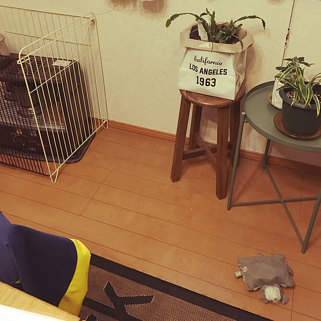 Mikaさんの実例写真