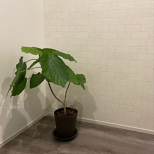 tete07さんの実例写真