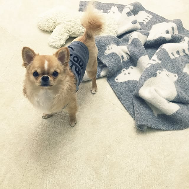 haruhinaさんの実例写真