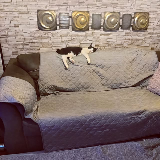 nikoさんの実例写真