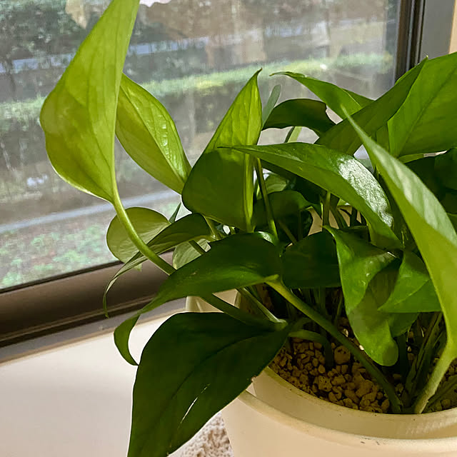 YuuKoさんの部屋