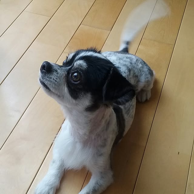 yukkoさんの実例写真