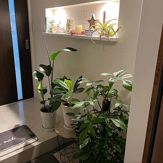 実例写真
