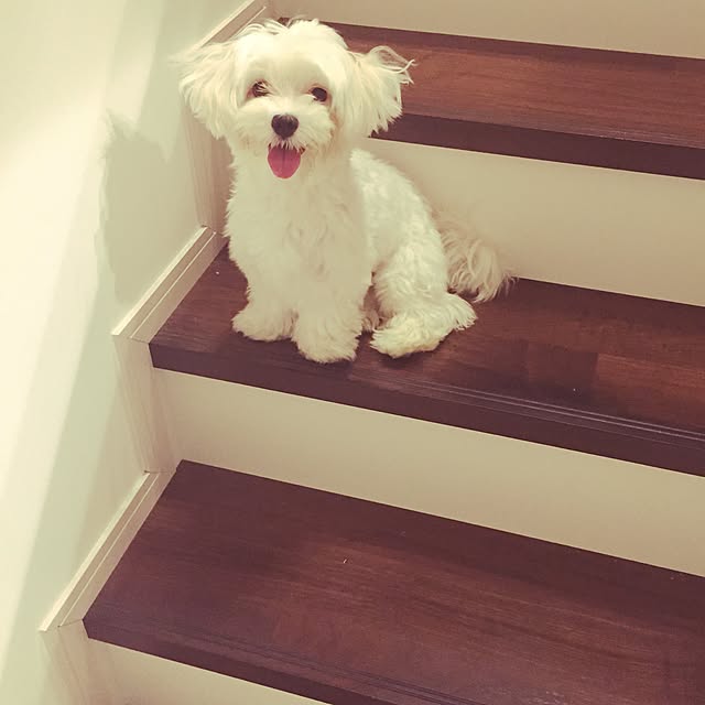 relaxsunさんの実例写真