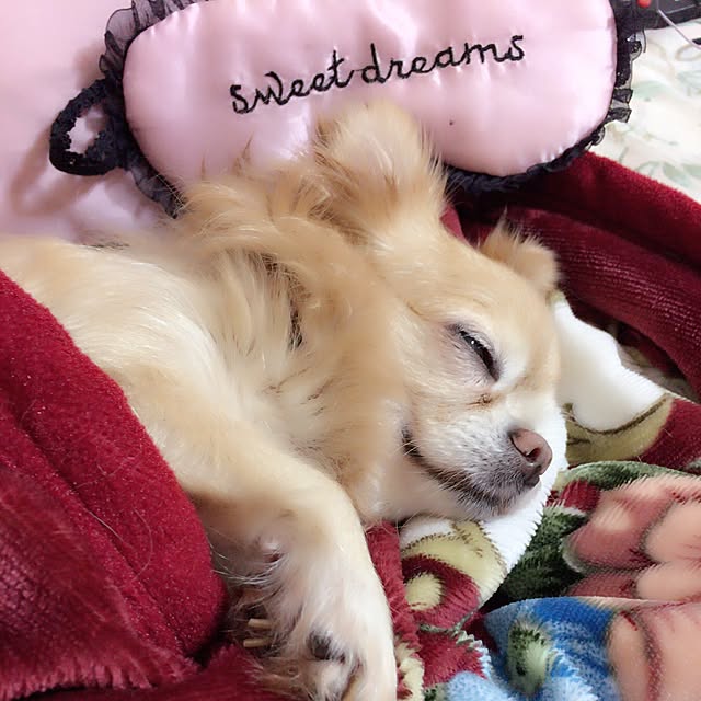 muuさんの実例写真