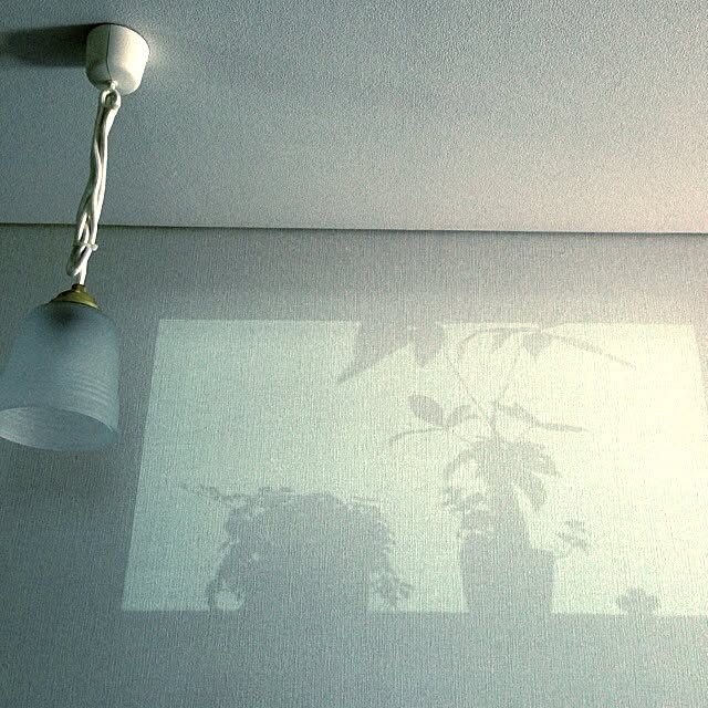 TOMOBINさんの実例写真