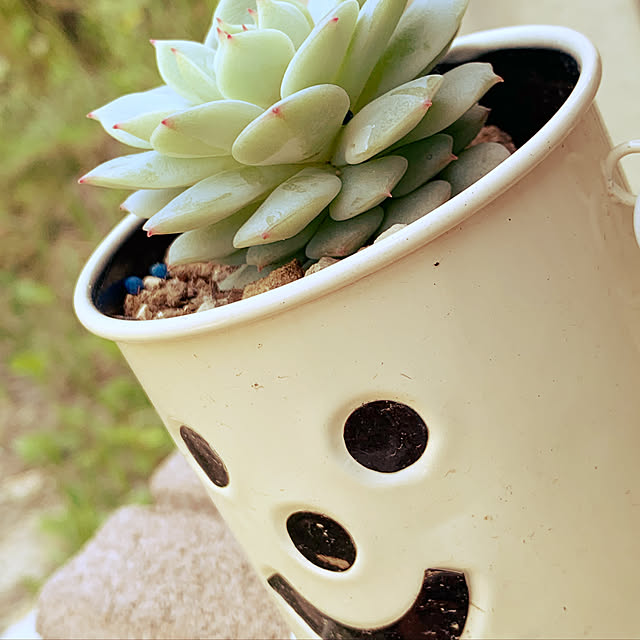 mochiさんの実例写真