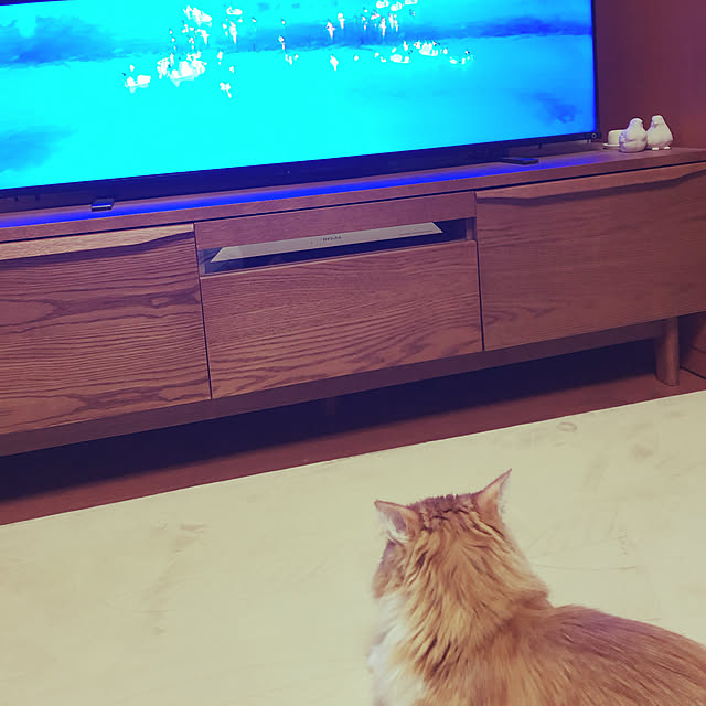 uchidaizuさんの実例写真