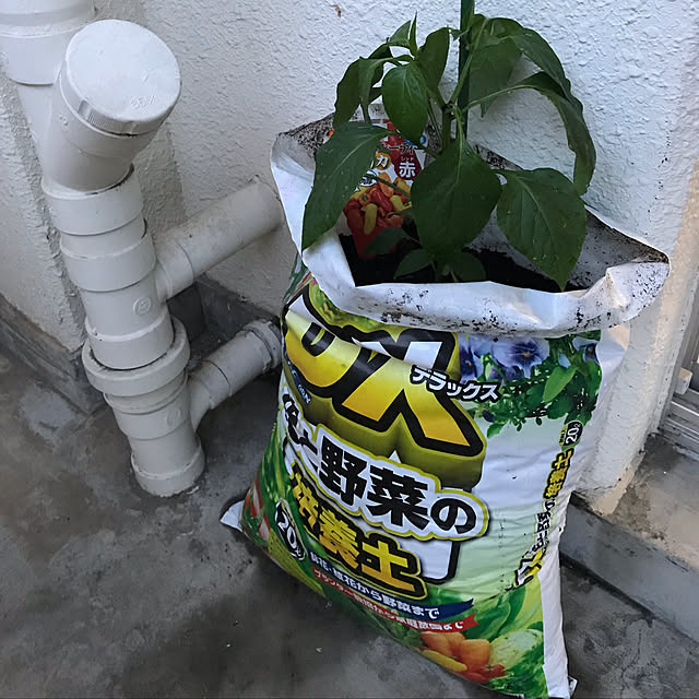 dmanさんの実例写真