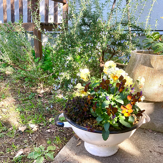 green.green.greenさんの実例写真